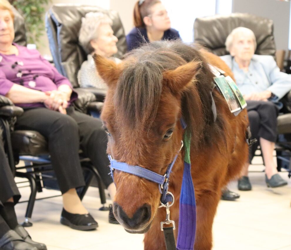 75594519 440133933358334 4669405418198401024 o